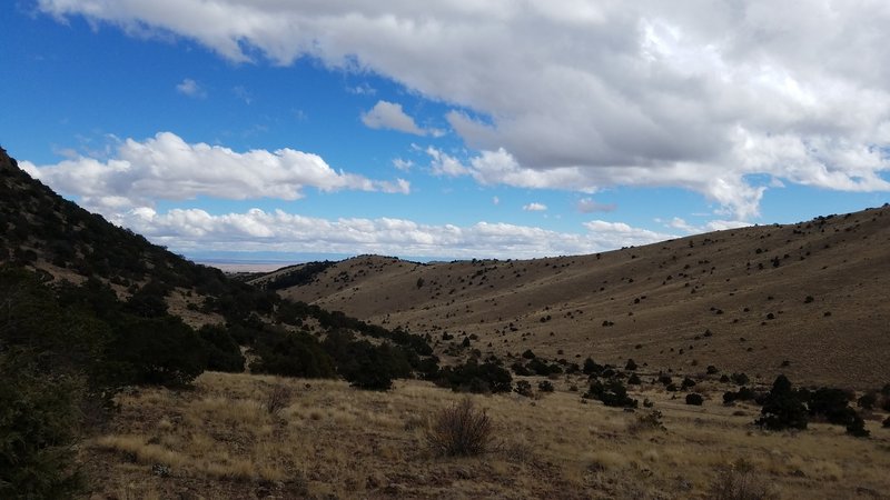 Looking down Nicomodes Gulch