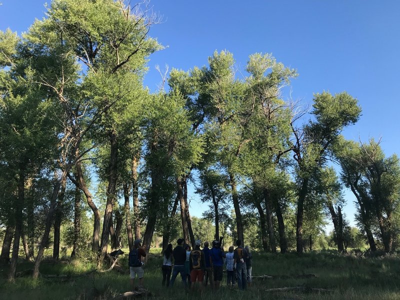 Group of people birding along the Inner Oxbow Trail