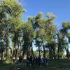 Group of people birding along the Inner Oxbow Trail