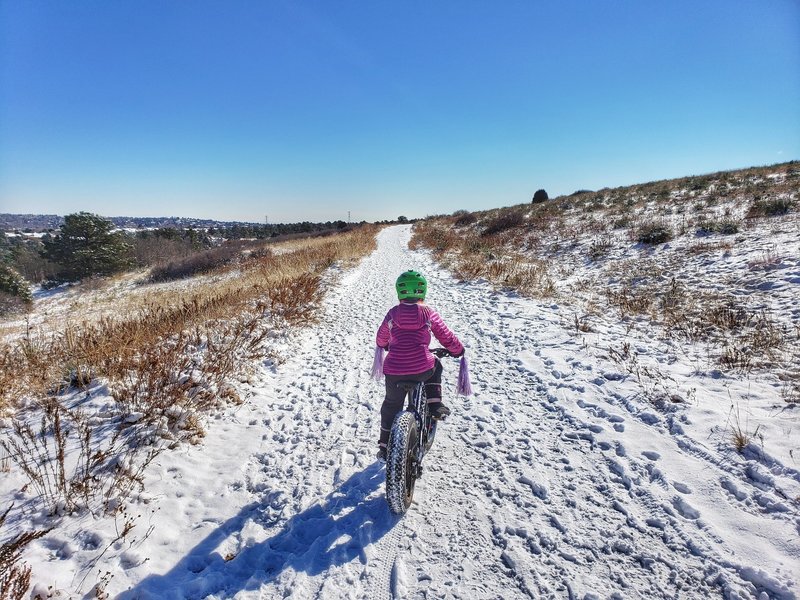 Riding back after the snow.