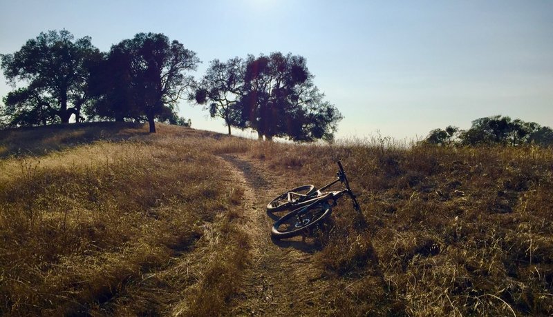 The start of Serpentine after a very short climb in. It's gets steep and loose in another fifty yards.