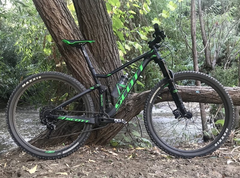 A little shade on the trail.