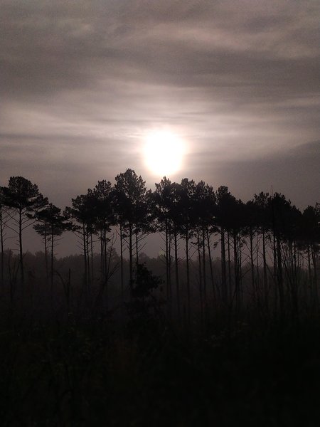 Eastward sunrise view from the trail.