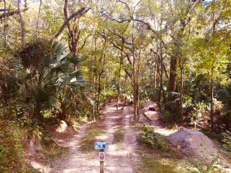 A series of progressively bigger jump lines that are accessed by enetering the ‘advanced’ center section of the park.