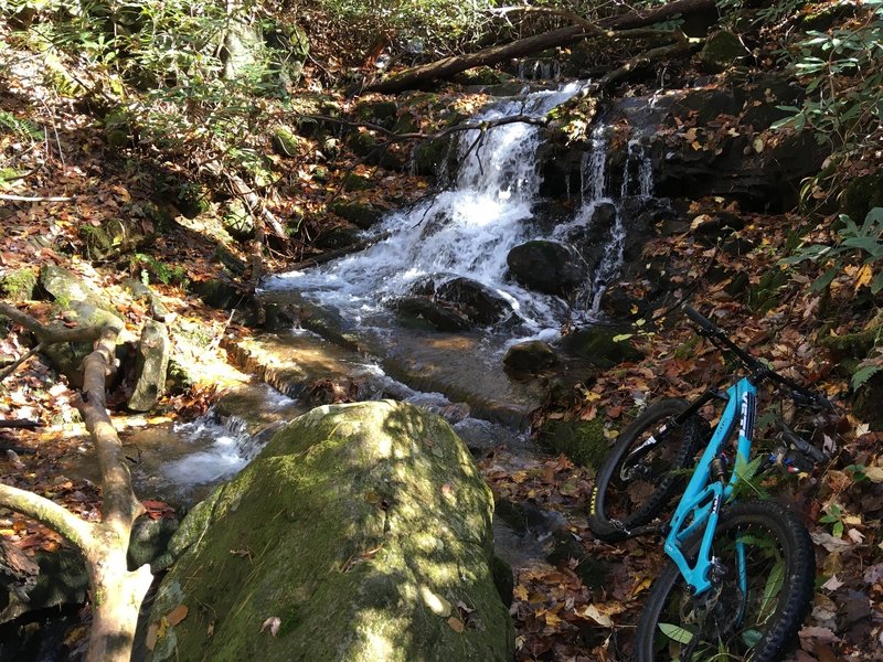 Small falls in Davis Creek.