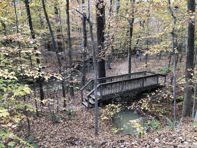 Trailside on Reedy Creek is a nice little walking area down the slope.