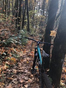 Awesome looking trails in the late fall!
