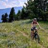 Heading to the peak, after leaving the road from Goose Creek Trailhead.