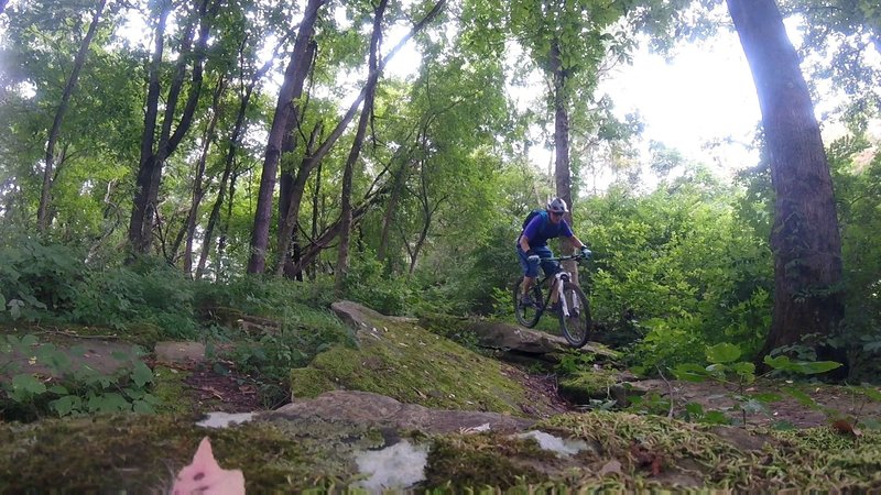 Rarely ridden trail section.