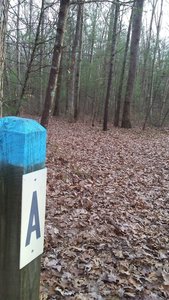 Intersection of P-A-K on the mountain bike trails in the Allegan State Game Area.