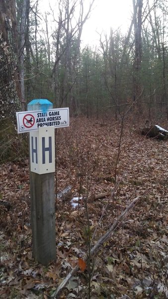 Intersection of G-J-K at the H post on the mountain bike trails in the Allegan State Game Area.