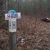 Intersection of G-J-K at the H post on the mountain bike trails in the Allegan State Game Area.