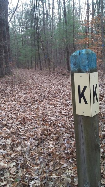 Intersection of H-A-L at the K post on the mountain bike trails in the Allegan State Game Area.