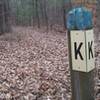 Intersection of H-A-L at the K post on the mountain bike trails in the Allegan State Game Area.