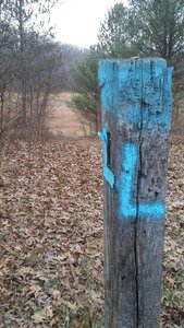 Intersection of P-M-K at the L post on the mountain bike trails in the Allegan State Game Area.