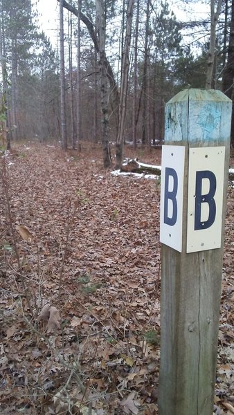 Intersection of C-A-G at the B post on the mountain bike trails in the Allegan State Game Area.