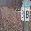 Intersection of C-A-G at the B post on the mountain bike trails in the Allegan State Game Area.