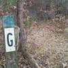 Intersection of J-B-H at the G post on the mountain bike trails in the Allegan State Game Area.