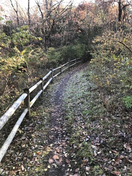 Trail along fence on Rhett's Run.