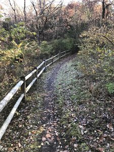 Trail along fence on Rhett's Run.