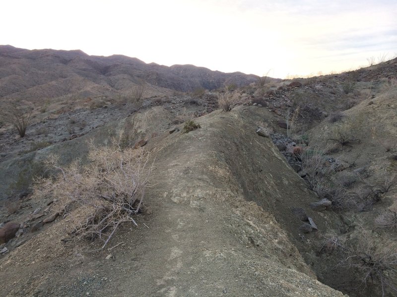 Singletrack climb.