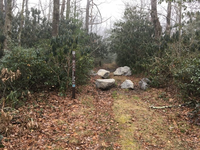 Start of Greene Mnt Trail