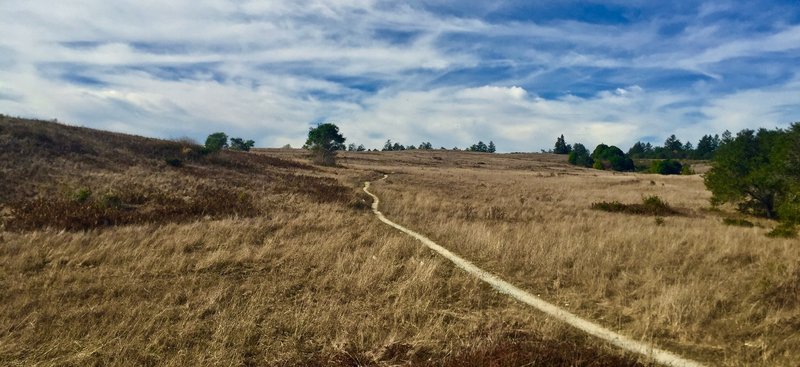 Lower portion of Twin Oaks.