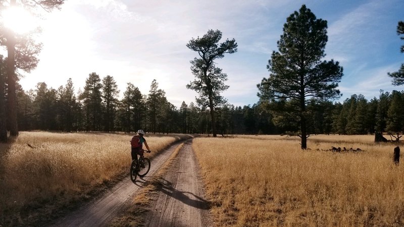 The road return has some superfine downhills, some mellow uphills and lots of cruising.