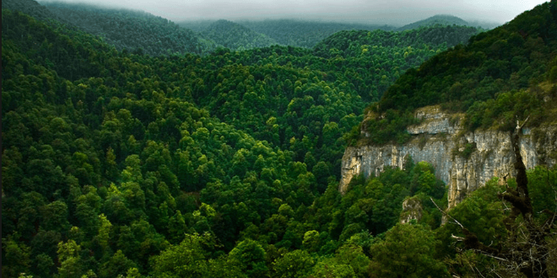 Dilijan National Park views.