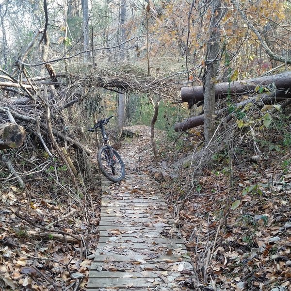 Elevated trail is quite common on trails around the Knoxville Urban Wilderness.