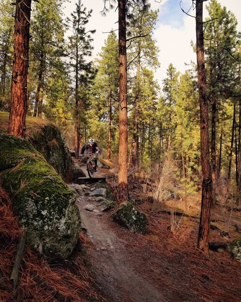 Rolling down the bridge and rock garden section of Stalingrab.