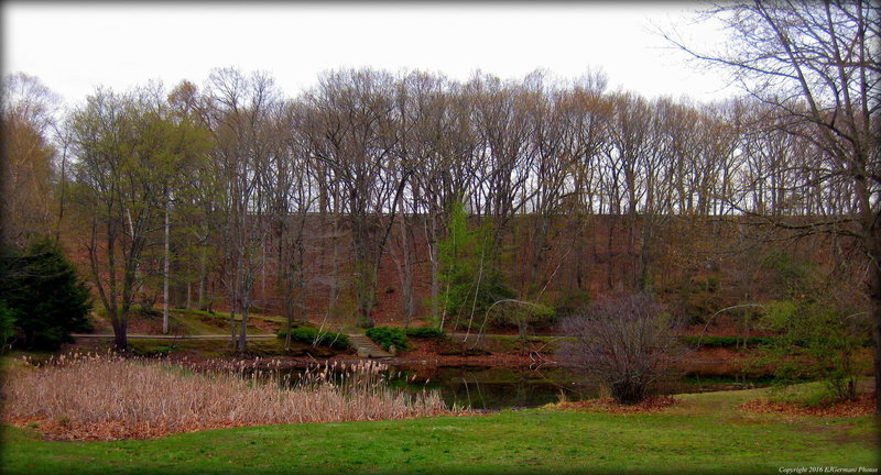 Looking over to the hill where the trail is. Starts at the top left of this image. Leads down to a small jump next to the stairs in the middle of this picture.