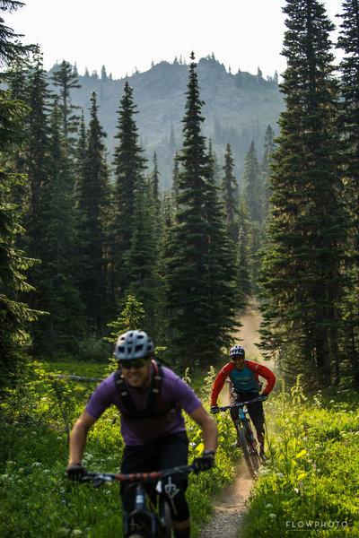 The trail is unique as it has multiple microclimates in it. This is the first of three subalpine meadows.