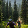 The trail is unique as it has multiple microclimates in it. This is the first of three subalpine meadows.