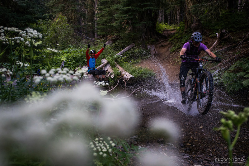 More stream crossings make for some awesome summertime fun!