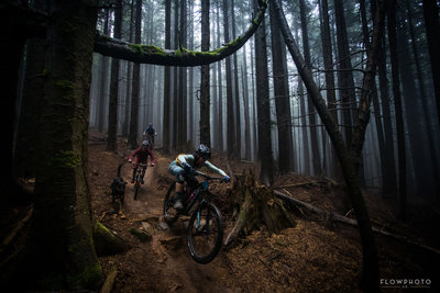 Good fun up top. Nothing too technical but sometimes you can catch the fog just right.