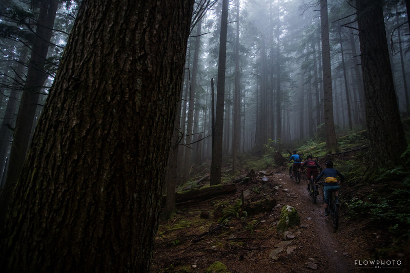Get after this climb on a foggy morning. You won't regret it. Best climb in the area.