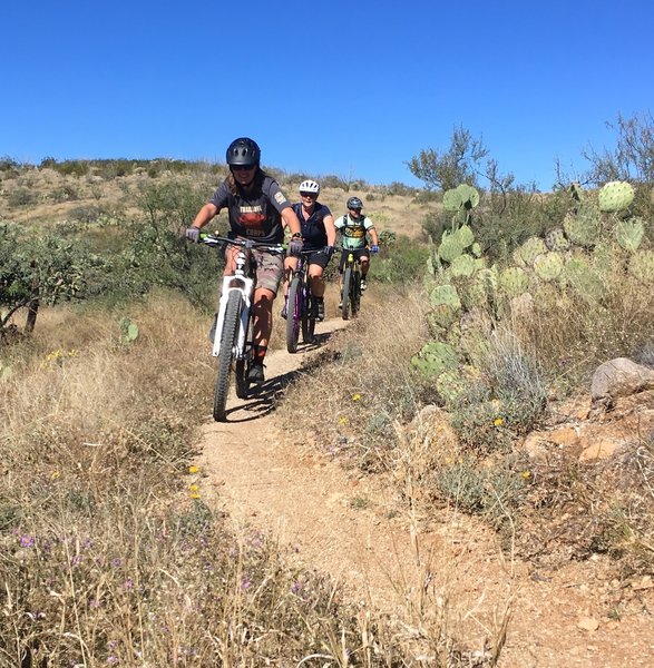 Not technical at, all these trails make for great social rides as well.