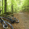 Typical forest road in the Schwarzwald (Black Forest).