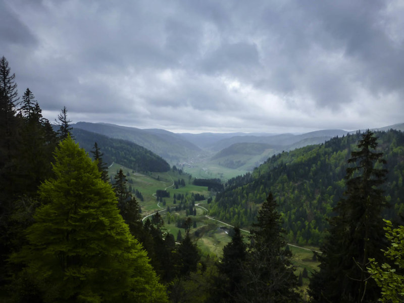 Scenic Menzenschwander Tal (valley) in the Schwarzwald (Black Forest).