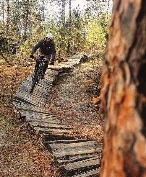 Wood feature off of Upchuck down to the skills park.