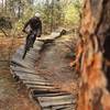 Wood feature off of Upchuck down to the skills park.