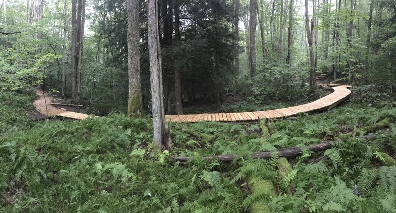 Bridges on Dales Trail