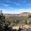 Beautiful view of Schoolhouse Mountain near the CDT/Gnarly intersection.