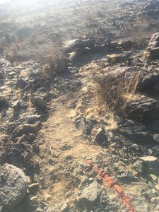 New Miners trail.