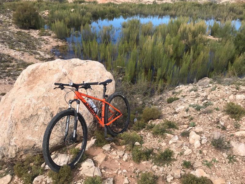 Taken on the side of the Blue Trail at the Odessa Mountain Bike park on a nice day...