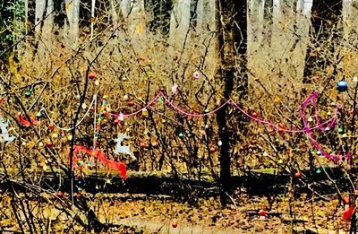 Remembering Garrett at Christmas-time