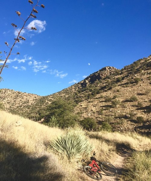 Molino Basin trail near campground