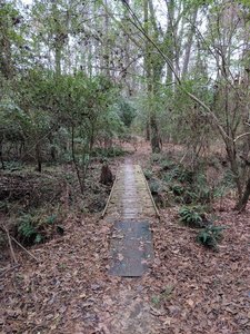 Amazing Trail