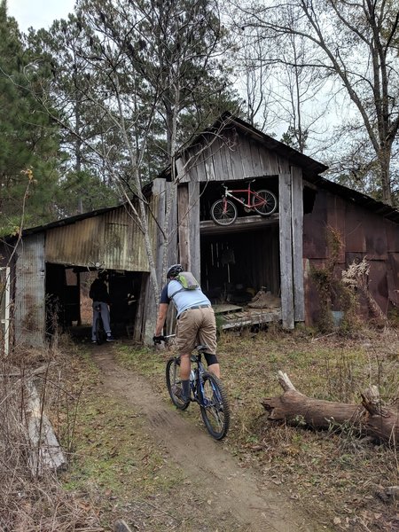 Amazing Trail